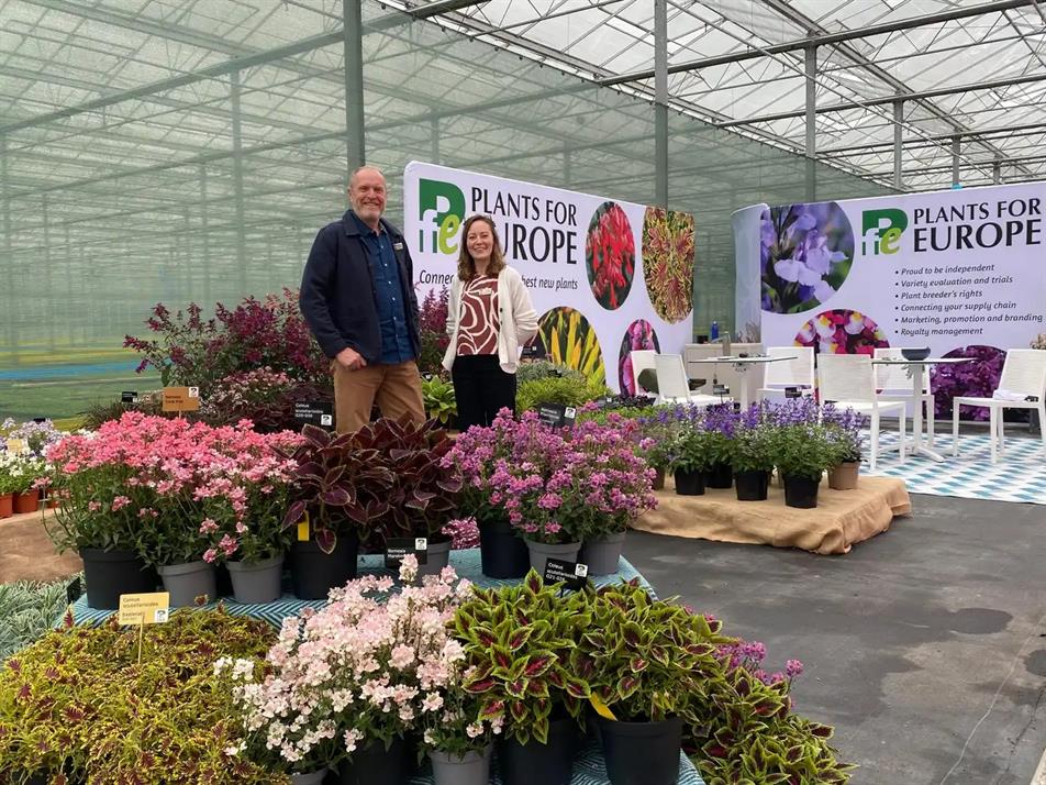 PFE at Flower Trials
